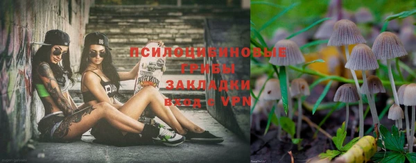 эйфоретик Алексин